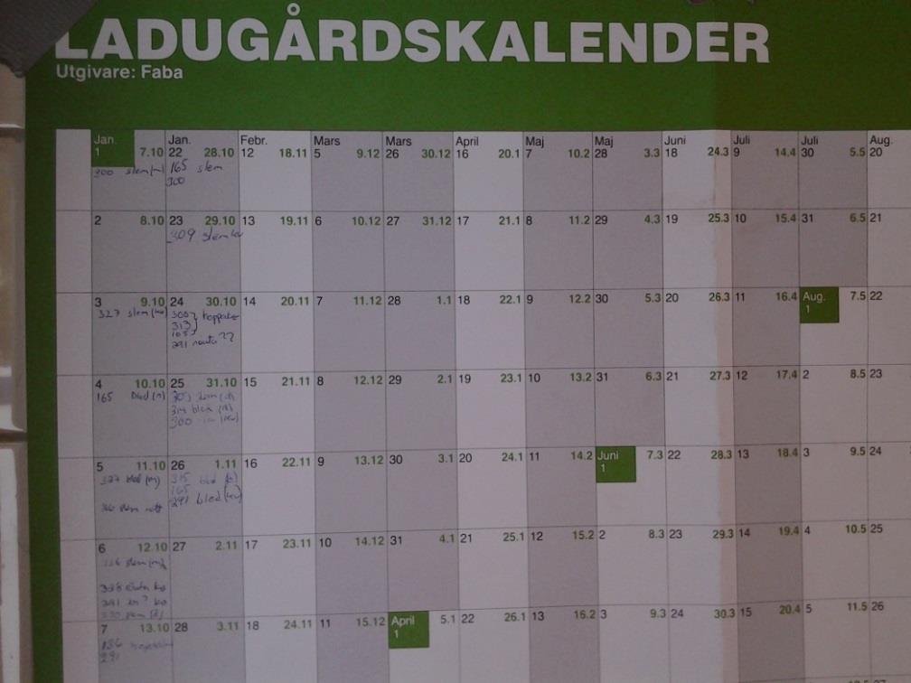 mellan två riktiga brunster).