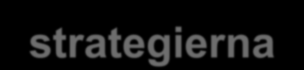 Exempel på aktiviteter gällande strategierna 1. Genus Möte med allmänheten på kvinnodagen 8/3 Jämställda löner något för dig kampanj Biokväll 7/3 Lönecoachning till medlemmar Förtroendevalda utb.