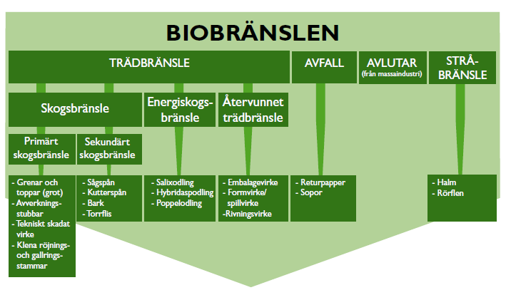 Figur 2. Schematisk bild om hur biobränslen är uppdelade.