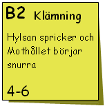 Steg 3: Riskvärdering Gruppen rangordnar riskerna efter inbördes allvarlighet på X-skalan under tystnad. Vid oenighet tas lappar undan och hanteras separat efteråt.