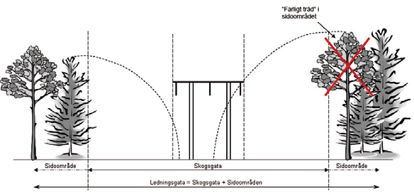 Generellt brukar ersättningen beräknas med hjälp av 2009 års skogsnorm (Sjödin, et al., 2011), denna reviderades senast år 2012.