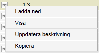 Versionshistorik För att se alla versioner av ett versionshanterat dokument, klicka på versionsnumret i dokumentlistan eller välj Versionshistorik via menyn för det aktuella dokumentet.