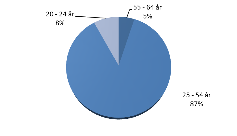 4. RESULTAT HEMTJÄNST PÅ HEMSPRÅK Redovisningen följer de mål som finns i projektbeskrivningen för Hemtjänst på hemspråk.