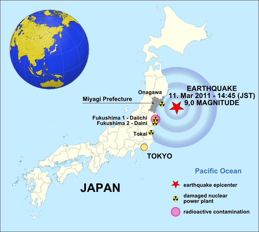 Den kedja av händelser som inträffat i Japan, där huvudsystem och reservsystem slogs ut i snabb takt, blottar svagheterna i detta angreppsätt.