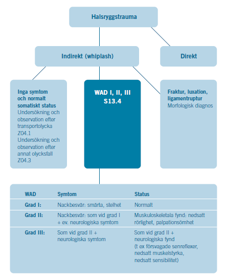 17 (110) Figur 1-2 Modifierad klassifikation av whiplashskador.