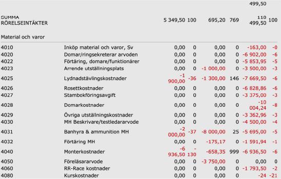 balansräkning 2010 SRRS/STOCKHOLM