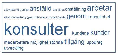 tillsammans med konsultchefen, för att utvärdera hur året har gått samt vilka framtidsplaner som finns.