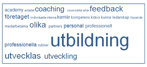 Figur 11. Deloitte ordanalys (NVivo) Deloitte har, som tidigare nämnts, en hel del information om personal och personalarbete i sin årsredovisning.