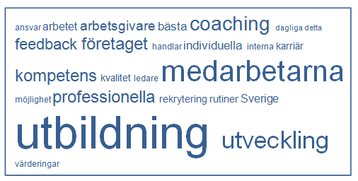 Figur 13. Ordanalys - Revisionsbyråerna. (NVivo) När det gäller vart revisionsbyråerna valt att lämna information om sin personal så skiljer det sig åt mellan företagen.