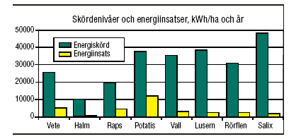 För att få jämförbara värden för de olika grödorna behöver skördarna omvandlas till samma energislag. Energigrödor kan användas för produktion av el och värme eller fordonsbränsle.