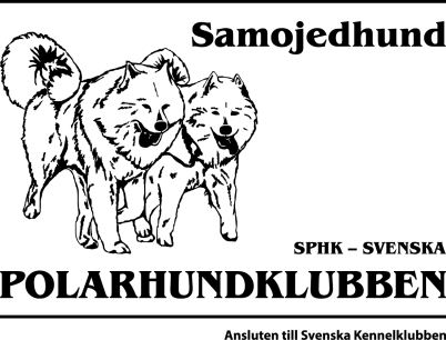 /SPHK: s rasklubb för samojedhund, 2013.