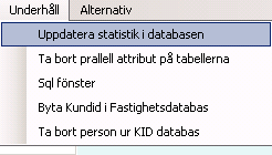 6. Uppdatera/Installera synonymer (endast Oracle) För er med Oracle som databas är det viktigt att även synonymer skapas om. Detta görs med kommandot Vyer -> Uppdatera/Installera Standardsynonymer. 7.