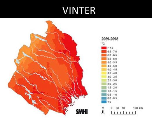 Vinter Den årstid som påverkas mest.