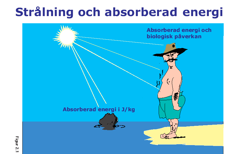 Effektiv dos viktas för strålslag och