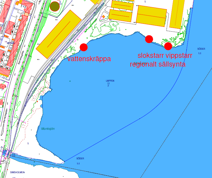 En rad med unga gatuträd växer i slänten mellan Barnarpsgatan och cykelvägen. Vid grindarna i söder växer ett antal stora ädellövträd kastanj och lönn.