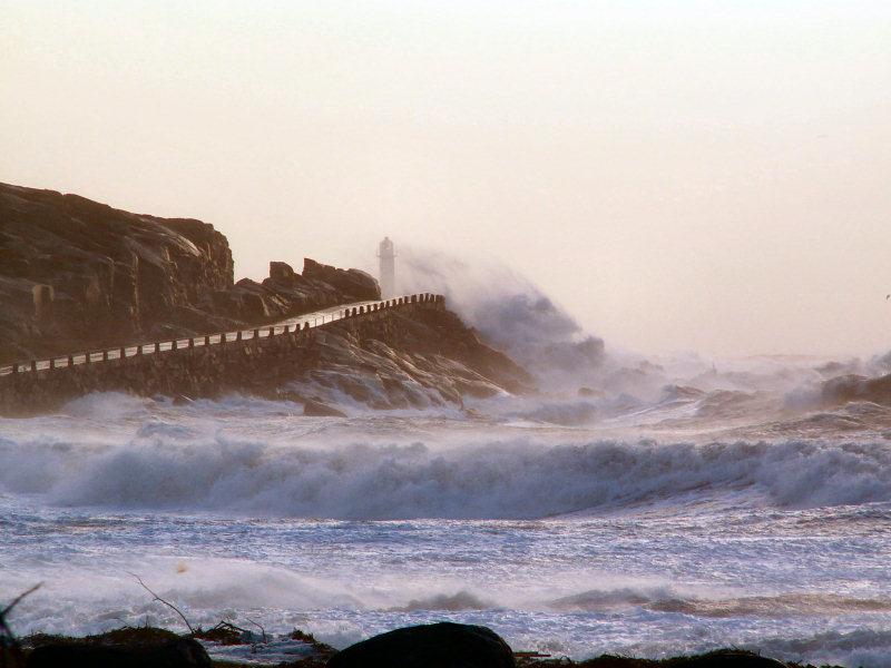 Söndag 11 November Vi gör en liten utflykt längs södra strandpromenaden. Foton som vi tar kommer sen att ligga på Fritidens hemsida* Samling: Klockan 14.