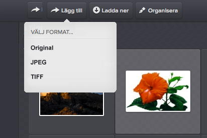 Detta öppnar ImageVaults användargränssnitt. ImageVault användarinterface Användargränssnittet beskrivs mer ingående i kapitel 6 "Användargränssnitt". Välj en mediafil och tryck på knappen Infoga.