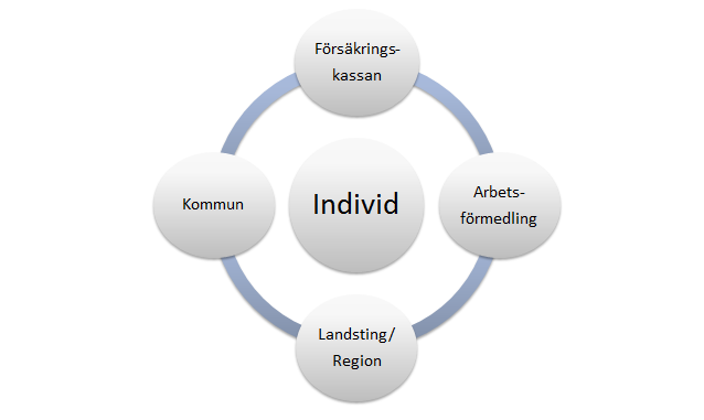 8 (46) 1. Inledning Samhällets rehabiliteringsinsatser utformas inom ramen för olika huvudmäns ansvar, uppgifter och regelsystem.