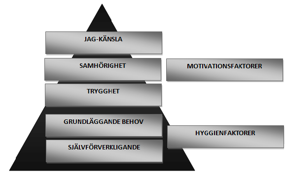 2.2 Motivationsteorier Maslow (1954), Hertzberg (1966) & McClelland (1961) är de tre grundläggande och allmänt accepterade teorierna inom området och används vid flera studier såsom Whiteley (2002)