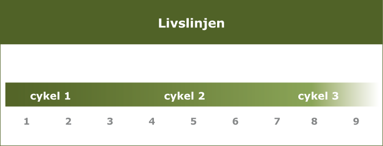 Genom våra val och handlingar skapar vi vår egen verklighet. Värdegrunden, som speglar vår verklighetsbild, utvecklas ständigt och Värderingshjulet (Figur 2) snurrar bildlikt talat inom oss livet ut.