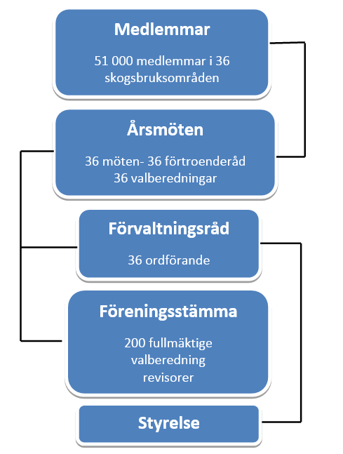 2.2.2 Medlemsorganisation och styrning Södra är en demokratisk organisation där varje medlem har en röst oavsett mängd insatskapital i föreningen, eller storlek på skogsfastigheten.