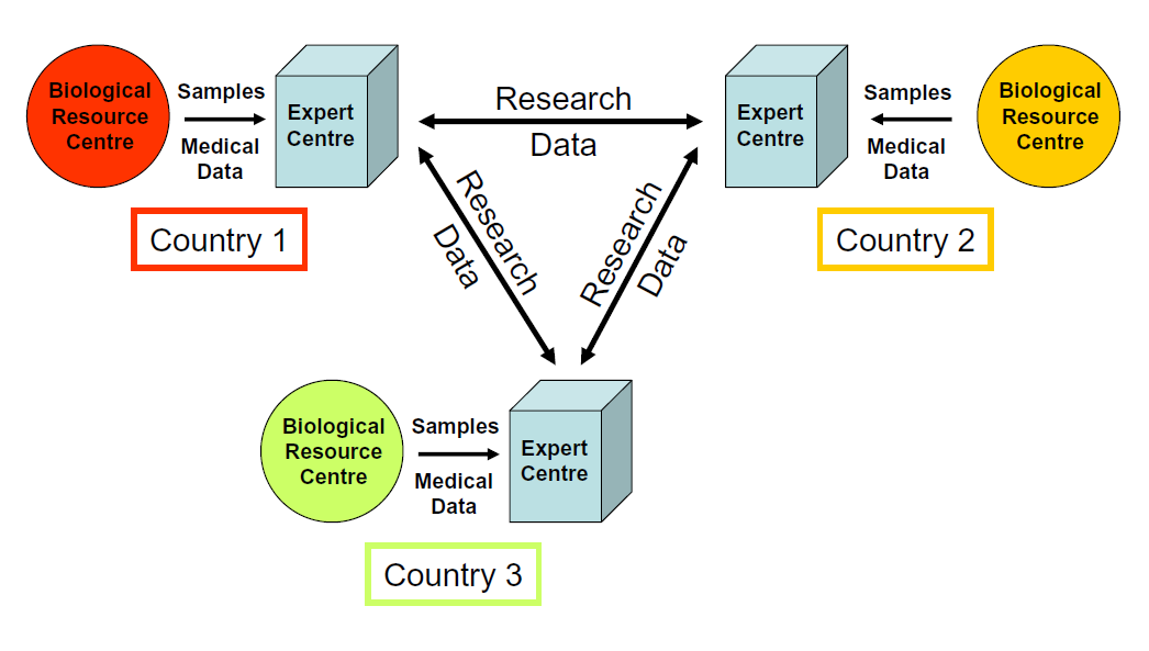 Figure 1: Expert centres as new highways for transnational research collaborations Strategic Supportive Actions The Strategic Supportive Actions are intended to ensure that BBMRI.