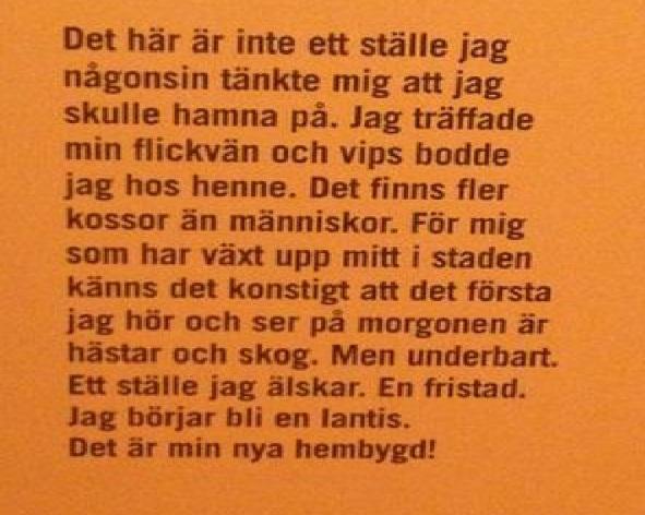 3. FLYTTA/STANNA En diskussion som ofta kommer upp är hur man ska få ungdomar att vilja komma tillbaka till Torsås kommun.