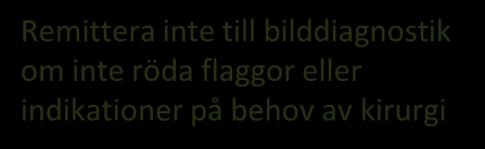 Strategier för ländryggbesvär Ryggundersökning Utredning av besvären. Matris röda flaggor. Finns några indikationer gällande röda flaggor?