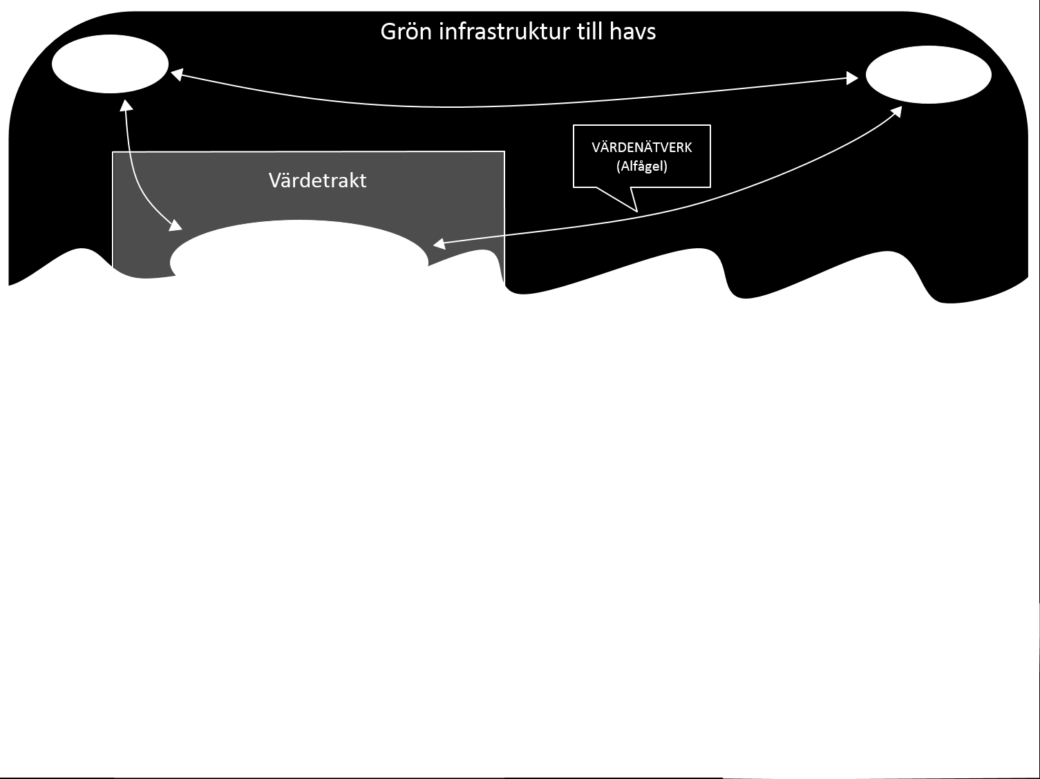 AquaBiota Report 2015:05 2.2. Marin grön infrastruktur Slutbehov: yttäckande kartor över marina värdekärnor, kopplade till specifika biotiska ekosystemkomponenter, samt värdetrakter.