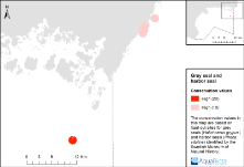 AquaBiota Report 2015:05 Slutbehov + + + + Figur 4. Exempel på sammanslagning av kartor för naturvärdesbedömning i Hanöbukten inom projektet MARMONI (figur skapad efter Fyhr m.fl. 2015). 2.4. Helcom HUB Slutbehov: yttäckande kartor över HUB-klassificerade habitat och biotoper, samt biotopkomplex.