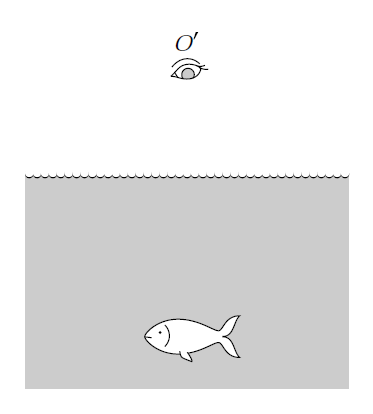 En observatör vid O, rakt ovanför fisken, tycker att fisken ser ut att simma A.