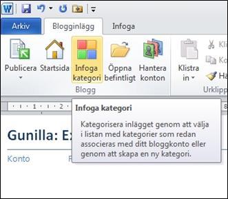 Hemmingsmarks förskola Uppgift nr 1 Därefter ska du välja kategorier för ditt inlägg. Klicka på knappen Infoga kategori.