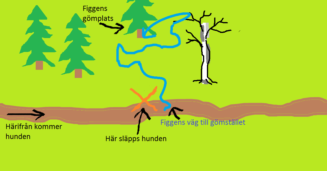 1. Figgen tar en omväg till sitt gömställe.