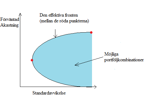 Det finns en effektiv front för både belånade och obelånade tillgångar vilket det även finns för riskfyllda, respektive riskfria tillgångar (Markowitz, 2005, s. 17).