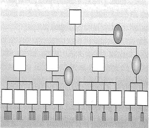 Teori figur 5, linjestabsorganisation 97 Förändrade organisationsprinciper Under 1940- och 50-talet framkom nya rön inom den beteendevetenskapliga forskningen.