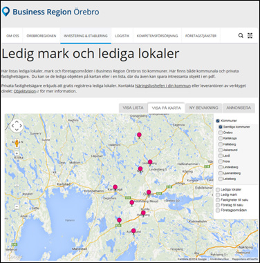 Etappmål: År 2012 ska det finnas en professionell etableringsservice i vår region.