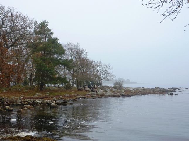 23 (52) Hela området ingår i riksintresse både för naturvården och för friluftslivet.