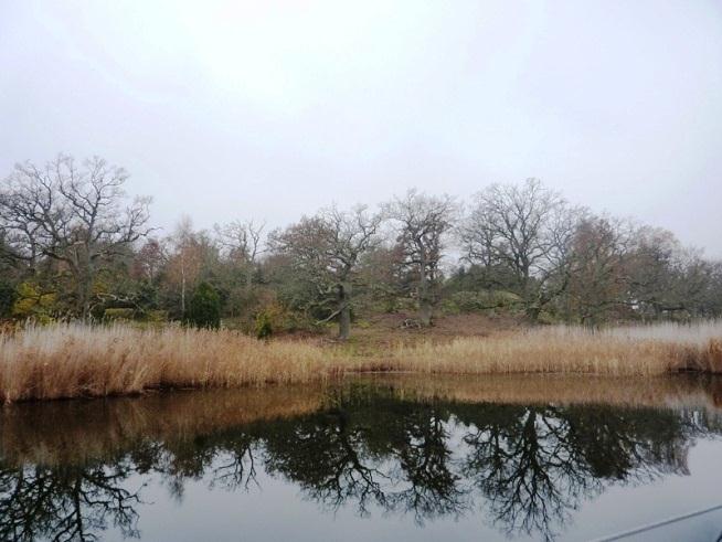 25 (52) På land finns även områden med naturtyper som inte är Natura 2000-habitat, av såväl öppna som trädbevuxna marker.