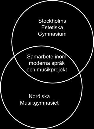 3. Verksamhetens struktur ht 2013 / vt 2014 Huvudman för Nordiska Musikgymnasiet är Nordiska Musikgymnasiet AB. Bolagets styrelse består av tre ledamöter.