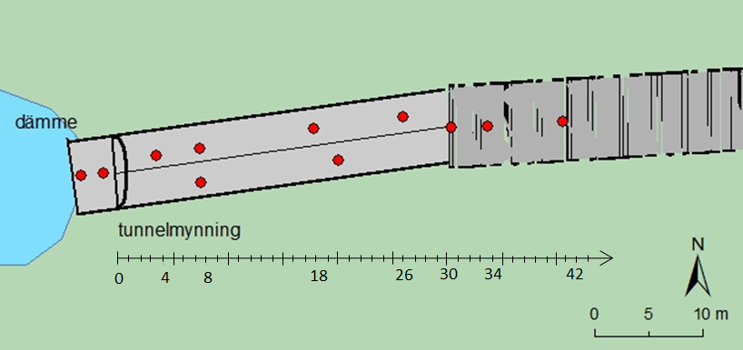 Figur 12. Skalenlig bild som visar platser för mätning av sedimentmäktigheten i tunneln. Första delen i ljusgrått visar betongtunnel och resterande del är sprängd tunnel. 4.