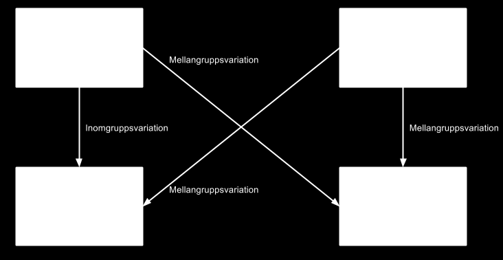 Figur 13: Kategorisering av variation. Beskriver hur mellangrupps- och inomgruppsvariation uppkommer. Till exempel om en person utför 6 mätserier på en modell ger det en inomgruppsvariation.