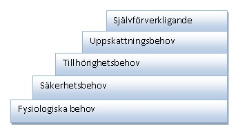 denna nivå då individen har ett behov av att känna sig trygg i sin omgivning utan att känna någon oro eller rädsla.