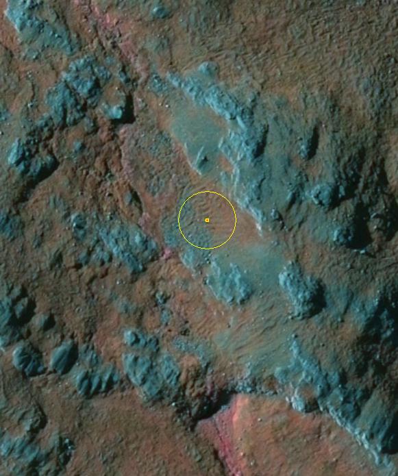 Att manuellt avgränsa i de detaljerade klasserna i en 5x5 km stor ruta över fjällterräng har inte bedömts som genomförbart.