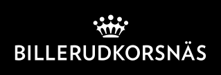 A K T I V T Å L D R A N D E ARENA T E C H N O L O G Y P U S H Material & tekniska möjligheter, R&D M A R K E T P U L L