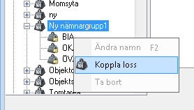 Bild 206: Koppla nämnare Koppla loss nämnare En nämnare kan kopplas loss från en nämnargrupp. Högerklicka på nämanren och välj Koppla loss.