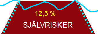 Vilken självrisk är strategisk riktig? Påverkar direkt försäkringspremien.