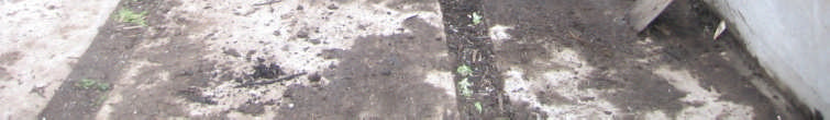 Komposten gick ca 3 m ut från hörnan av silon vid marken och 1,2 m ut från hörnan överst (se bild figur 26). Höjden på komposten var mellan 1,4 och 1,9 m.