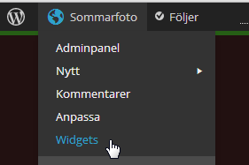 4. Paneler och widgets Det här är sidopanelen. Här lägger du in s.k. widgets som styr vilket innehåll du vill ha här.