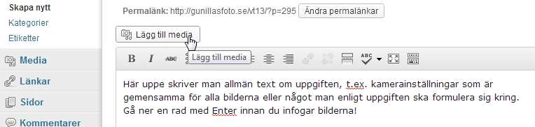 7. Go ra inla gg pa bloggen Gå till din blogg och logga in. Klicka på Nytt >>> Inlägg högst upp på sidan. Den länken finns där så snart du är inloggad.