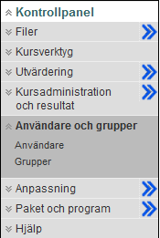 Grupperna som skapas i Blackboard får en egen yta/rum i kursen. Denna innehåller ett antal verktyg. Det är den som skapar gruppen som bestämmer vilka verktyg som ska finnas tillgängliga i grupprummen.